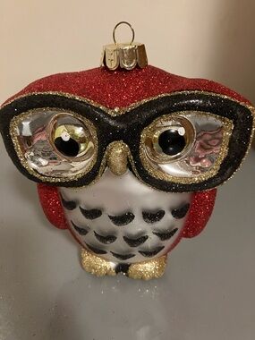 Blown Glass Owl With Glasses - Holiday Christmas Ornament - Red Glitter